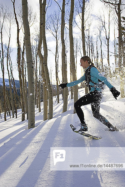 Frau auf Schneeschuhen durch den Dixie National Forest Cedar Mountains Utah Winter Backlit Forest