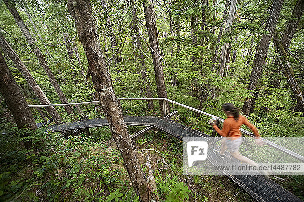 Frau läuft den Perseverance Trail im Tongass National Forest in der Nähe von Ketchikan  Alaska