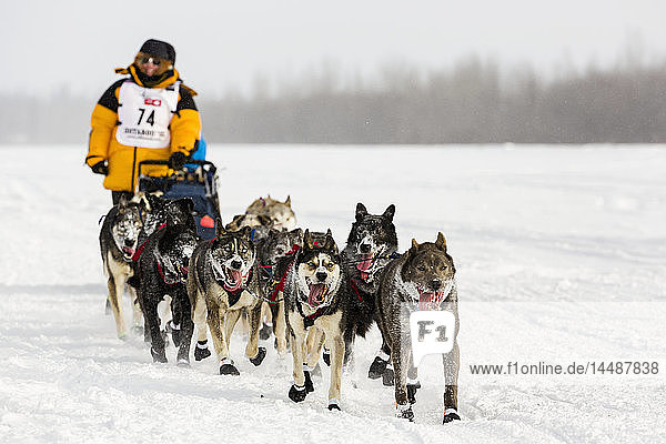 Musher Katherine Keith competing in the 2015 Iditarod Trail Sled Dog Race on the Chena River after leaving the restart in Fairbanks in Interior Alaska.