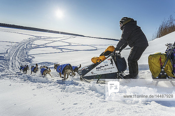 Katherine Keith drops down the bank and onto the Koyukuk River after leaving the Huslia checkpoint during Iditarod 2015