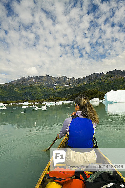 Female canoeist paddles amongst the icebergs in Bear Glacier Lake near Bear Glacier  Kenai Fjords National Park  Kenai Peninsula  Southcentral Alaska  Summer
