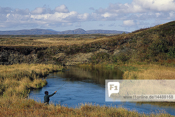 Fliegenfischer beim Auswerfen von Regenbogenforellen am Talarik Creek im Südwesten Alaskas Sommer