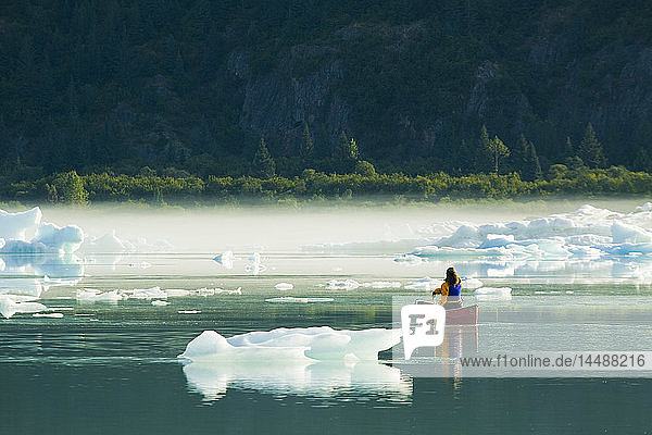 Female canoeist paddles amongst the icebergs and morning mist in Bear Glacier Lake  Kenai Fjords National Park  Kenai Peninsula  Southcentral Alaska  Summer