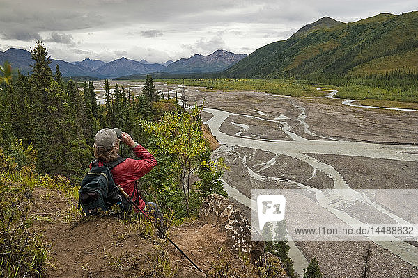 Female hiker stops to view the Teklanika River and Alaska Range near the Teklanika Campground  Denali National Park  Interior Alaska  Summer
