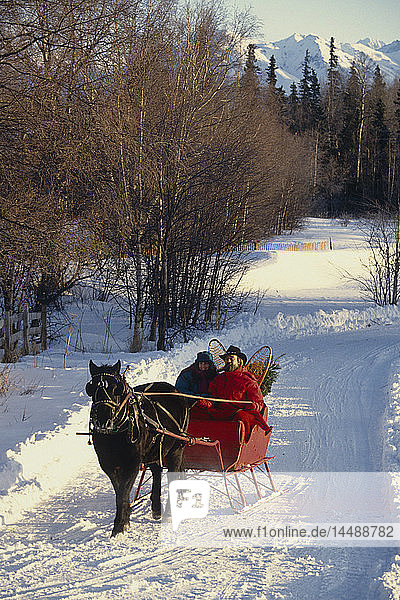 Couple in Horsedrawn Sleigh Chugach Mtns Mat-Su Valley SC AK Winter