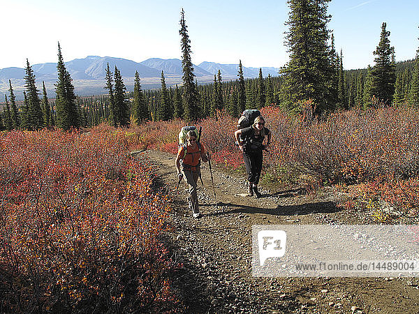 Zwei Frauen auf dem Weg zum Oberlauf des Sanctuary River im Denali National Park  Alaska  Herbst
