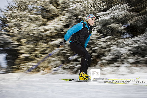 Frau beim Skilanglauf auf den Baycrest Ski Trails im Winter in der Nähe von Homer  Kenai Peninsula  Southcentral Alaska