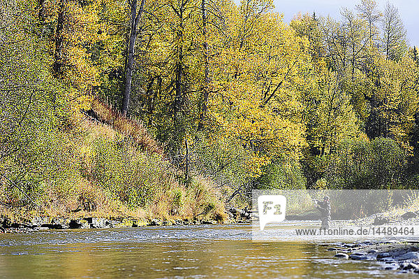 Fliegenfischer wirft auf wilde Steelhead am Deep Creek  Kenai-Halbinsel  Süd-Zentral-Alaska  Herbst