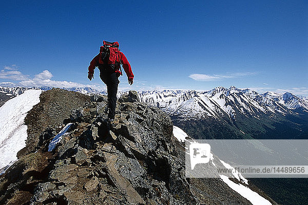Male Hiker Hikes Along Bird Ridge Chugach Mts. SC AK