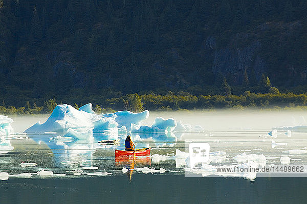 Female canoeist paddles amongst the icebergs and morning mist in Bear Glacier Lake  Kenai Fjords National Park  Kenai Peninsula  Southcentral Alaska  Summer