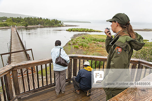 Ein Nationalpark-Ranger informiert die anderen Ranger per Funk über einen Braunbären in der Nähe  so dass sie die Brücke an der Aussichtsplattform des Brooks River im Katmai-Nationalpark im Südwesten Alaskas für den Fußgängerverkehr schließen müssen