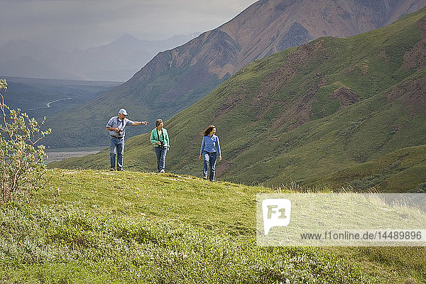 Älteres Paar und Frau mittleren Alters wandern auf der Tundra im Toklat-Flussgebiet des Denali-Nationalparks  Alaska