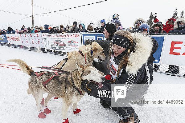 Kristy Berington mit ihren Hunden beim offiziellen Start des Iditarod 2015 in Fairbanks  Alaska. (C) Jeff Schultz/SchultzPhoto.com - ALLE RECHTE VORBEHALTEN VERWENDUNG OHNE ERMÄCHTIGUNG VERBOTEN