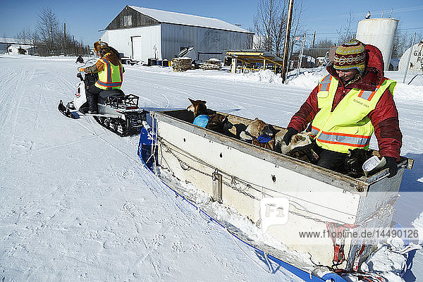 Freiwillige Hundeführer holen die abgeworfenen Hunde aus einem Flugzeug am Kontrollpunkt in Galena während des Iditarod 2015
