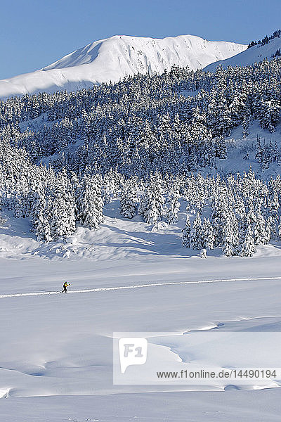 Cross Country skier in Turnagain Pass on the Kenai Peninsula  Chugach Mountains  Alaska