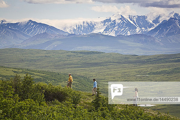 Hikers enjoying view near Wonder Lake in Denali National Park  Alaska during Summer