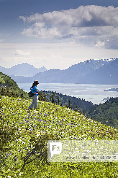 Frau wandert durch eine Wiese auf dem Lost Lake Trail mit Blick auf die Kenai Mountains  Resurrection Bay und Seward  Alaska im Sommer