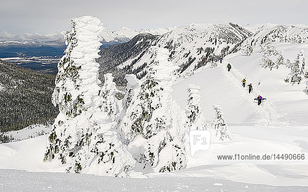 Backcountry skiers climb a hill with rime ice covered tree in the foreground at the Eaglecrest Ski area  Juneau Alaska