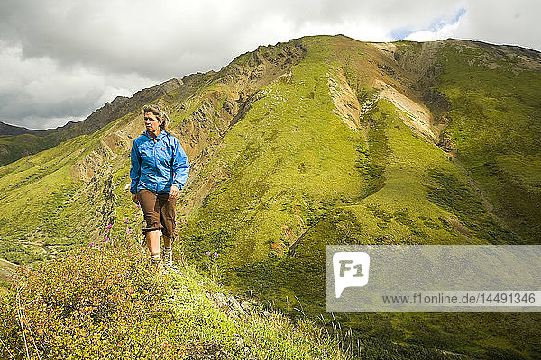 Frau beim Wandern auf einem Bergrücken in der Nähe des Sable Mountain Passes im Denali National Park  Interior Alaska  Sommer/n