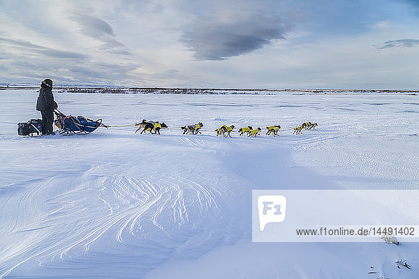 Mats Pettersson of Sweden on the trail in 30 mph wind several miles before the Unalakleet checkpoint during Iditarod 2015
