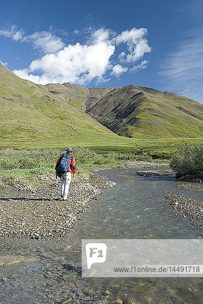 Man fills his water bottle while hiking along Chandalar River in the Brooks Range during Summer in Arctic Alaska