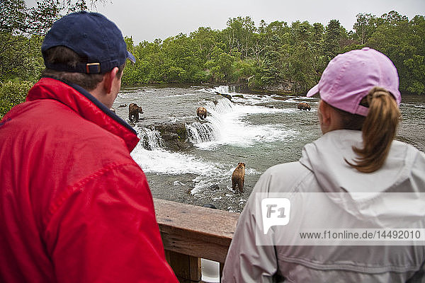 Besucher sehen Braunbären bei der Fütterung mit Rotlachs  Katmai National Park  Südwesten  Alaska