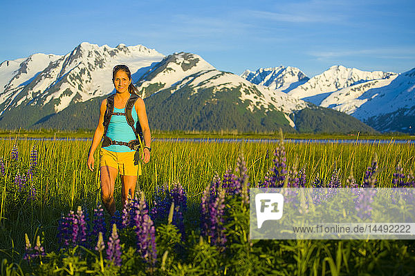 Frau beim Wandern auf einer Lupinenwiese in der Nähe des Twentymile River entlang des Turnagain Arm in Süd-Zentral-Alaska im Sommer