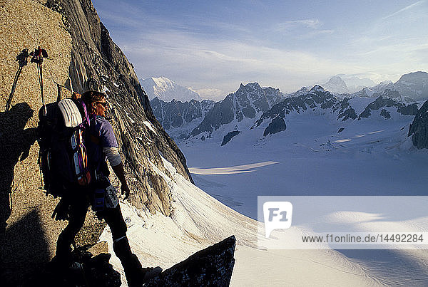 Mountain Climber Views Pika Glacier Denali Natl Park AK Interior Spring Ak Range