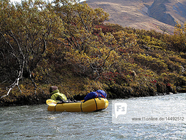 Frau packt den Sanctuary River im Denali-Nationalpark  Innenalaska  Herbst