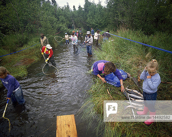 Alaskans Dip Net for Salmon Hidden Creek Kenai NWR AK summer scenic