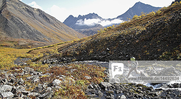 Scenic view of a woman backpacker crossing a creek heading towards the headwaters of Santucary River  Denali National Park  Interior Alaska  Autumn