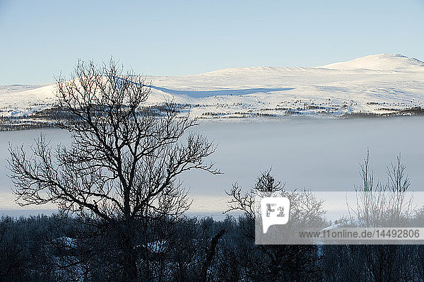 View of winter landscape