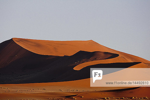 Desert