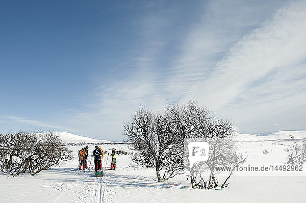 Fünf Frauen stehen auf einem schneebedeckten Feld