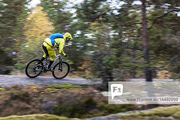 Man cycling through forest  Sweden