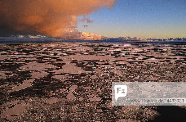 Cloud above pack ice
