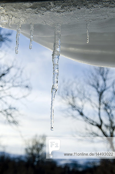 Icicle hanging from roof in winter