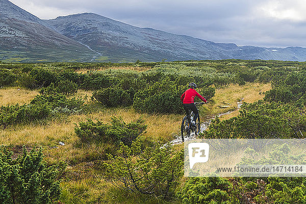 Boy cycling