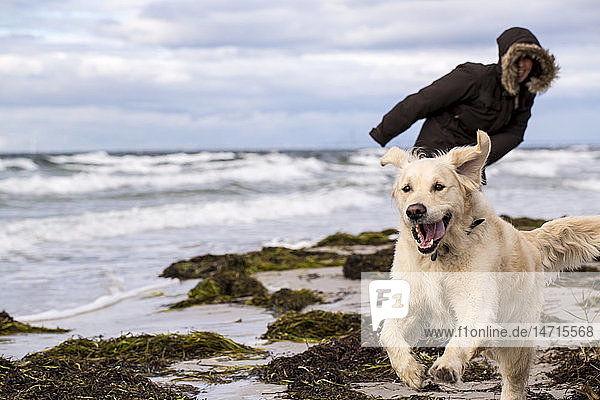 Frau mit Hund beim Spaziergang am Strand