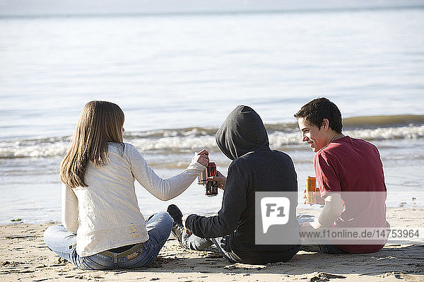 ADOLESCENT DRINKING