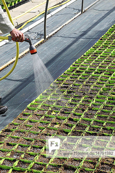 ORGANIC FARMING