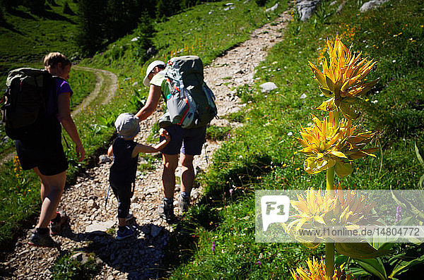 Französische Alpen. Familie auf einem Wanderweg.