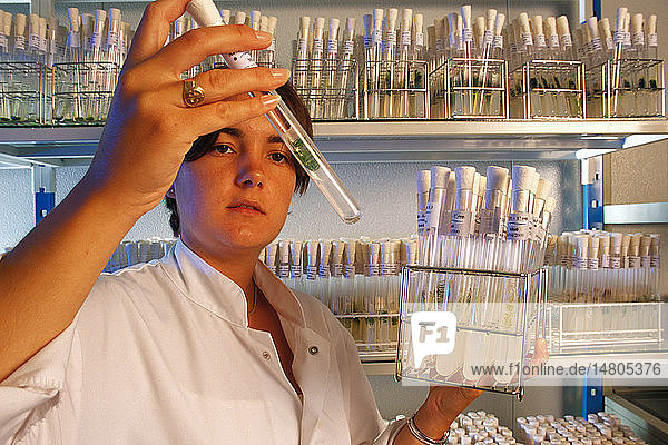 GENETICS RESEARCH