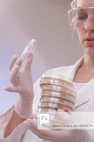PETRI DISH