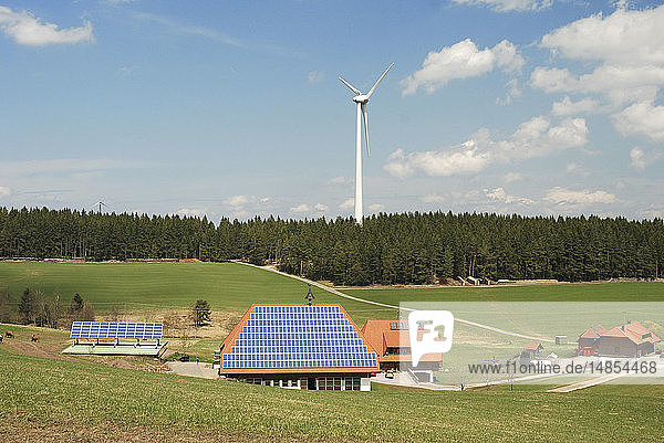 RENEWABLE ENERGY