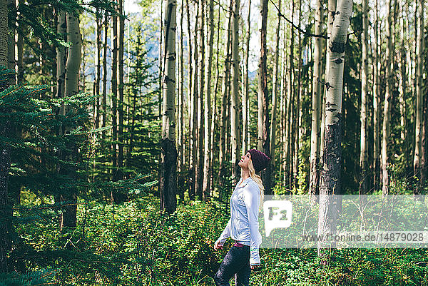 Frau geniesst Wald  Banff  Kanada