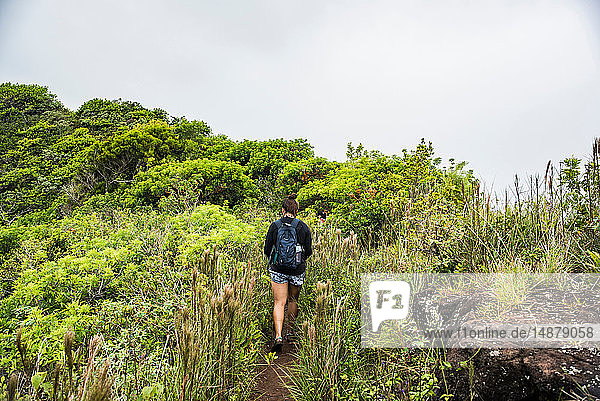 Wanderer auf dem Wanderweg des schlafenden Riesen  Kauai  Hawaii