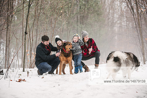 Familie mit Haushunden auf Spaziergang in Schneelandschaft