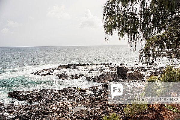 Felsenküste  Kauai  Hawaii