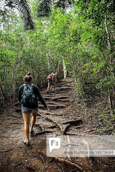 Hikers on Sleeping Giant Trail  Kauai  Hawaii